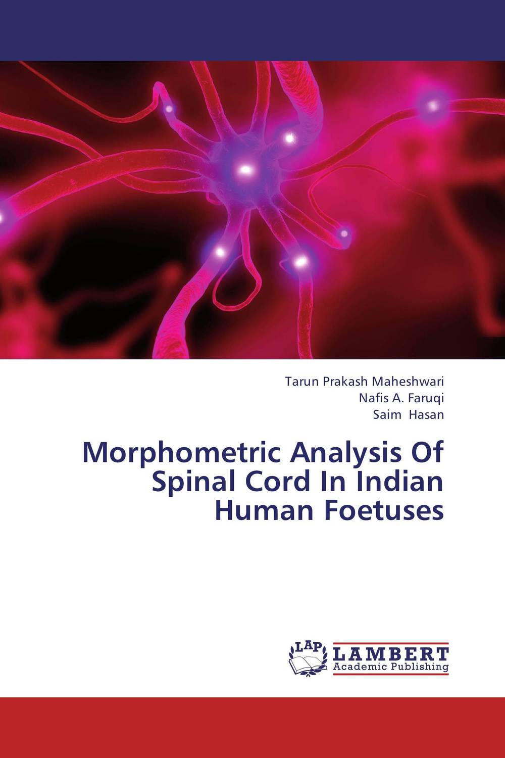 Morphometric Analysis Of Spinal Cord In Indian Human Foetuses