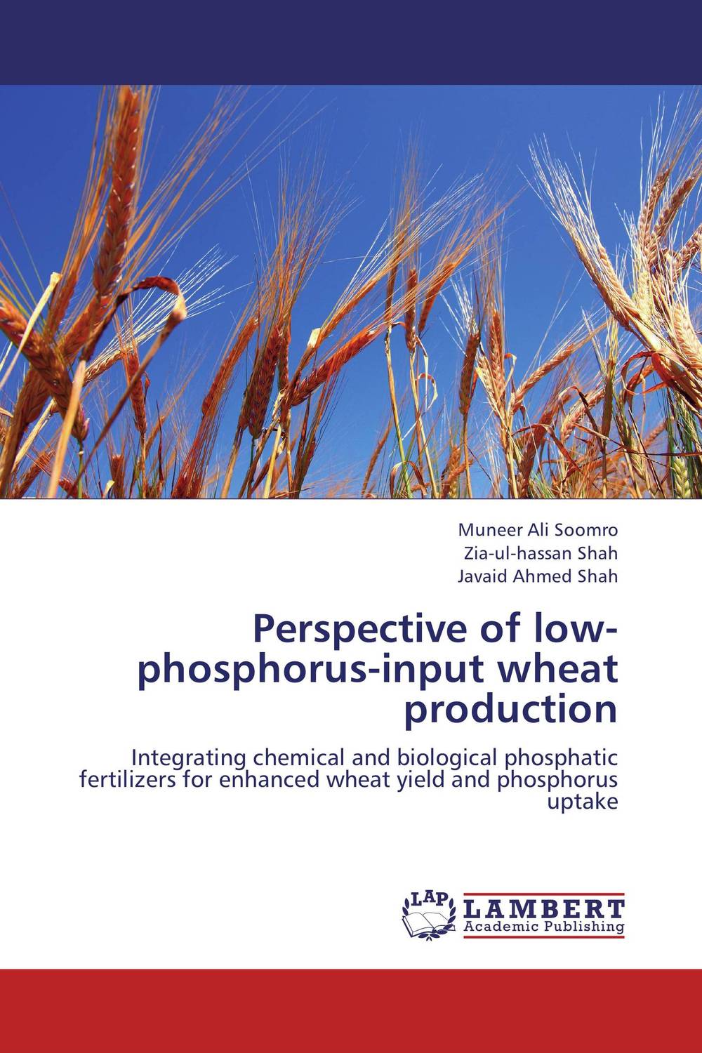 Perspective of low-phosphorus-input wheat production