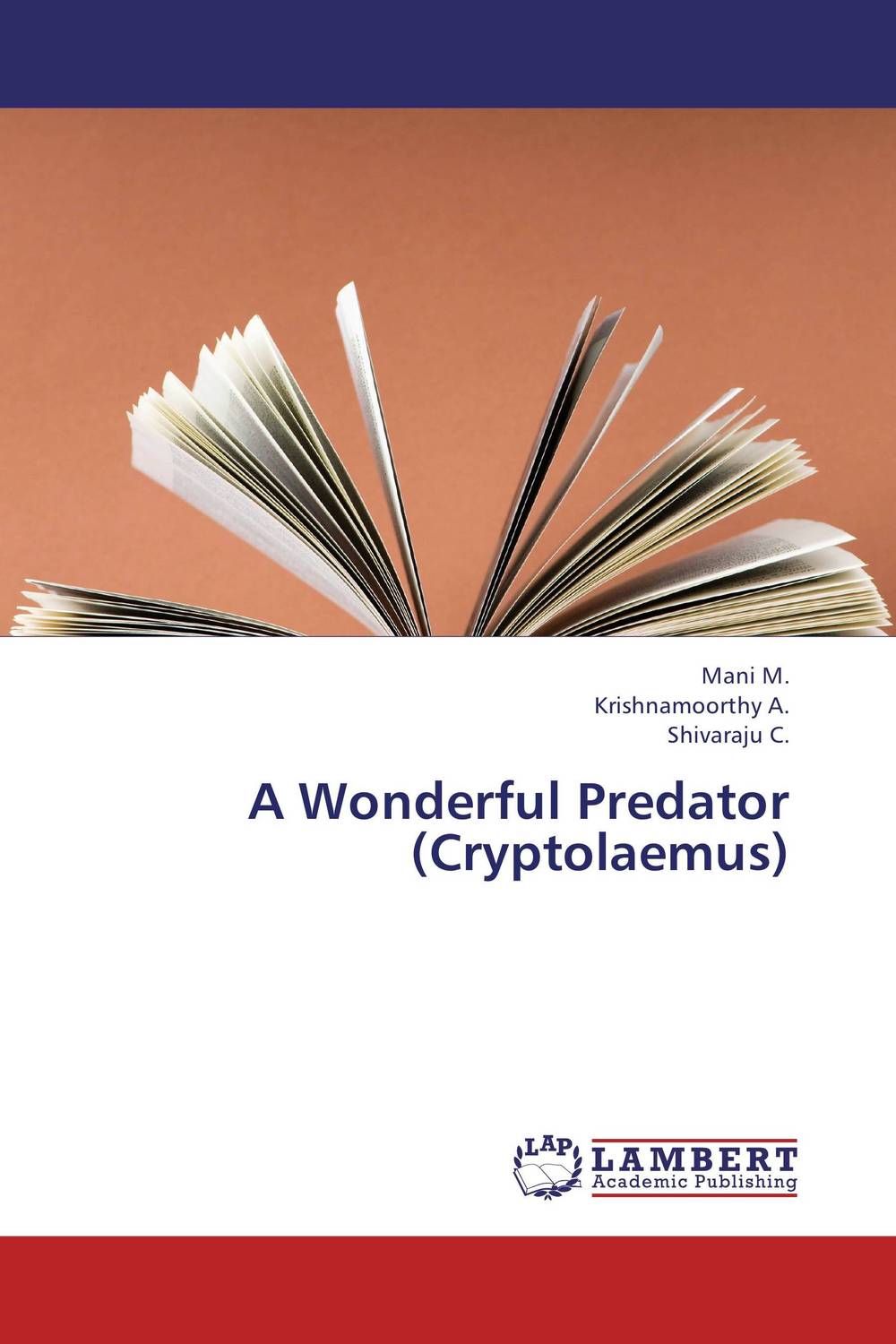 A Wonderful Predator (Cryptolaemus)