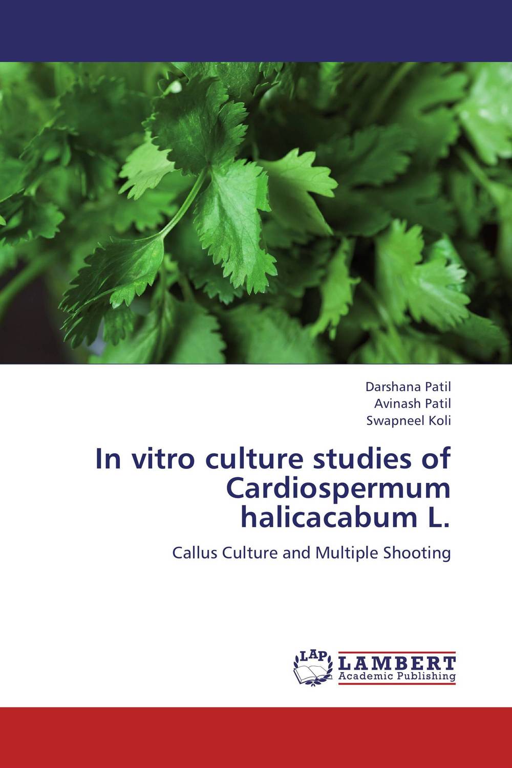 In vitro culture studies of Cardiospermum halicacabum L.