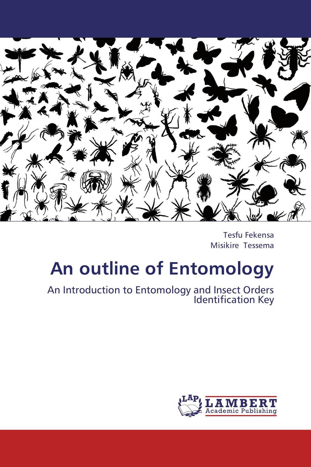 An outline of Entomology