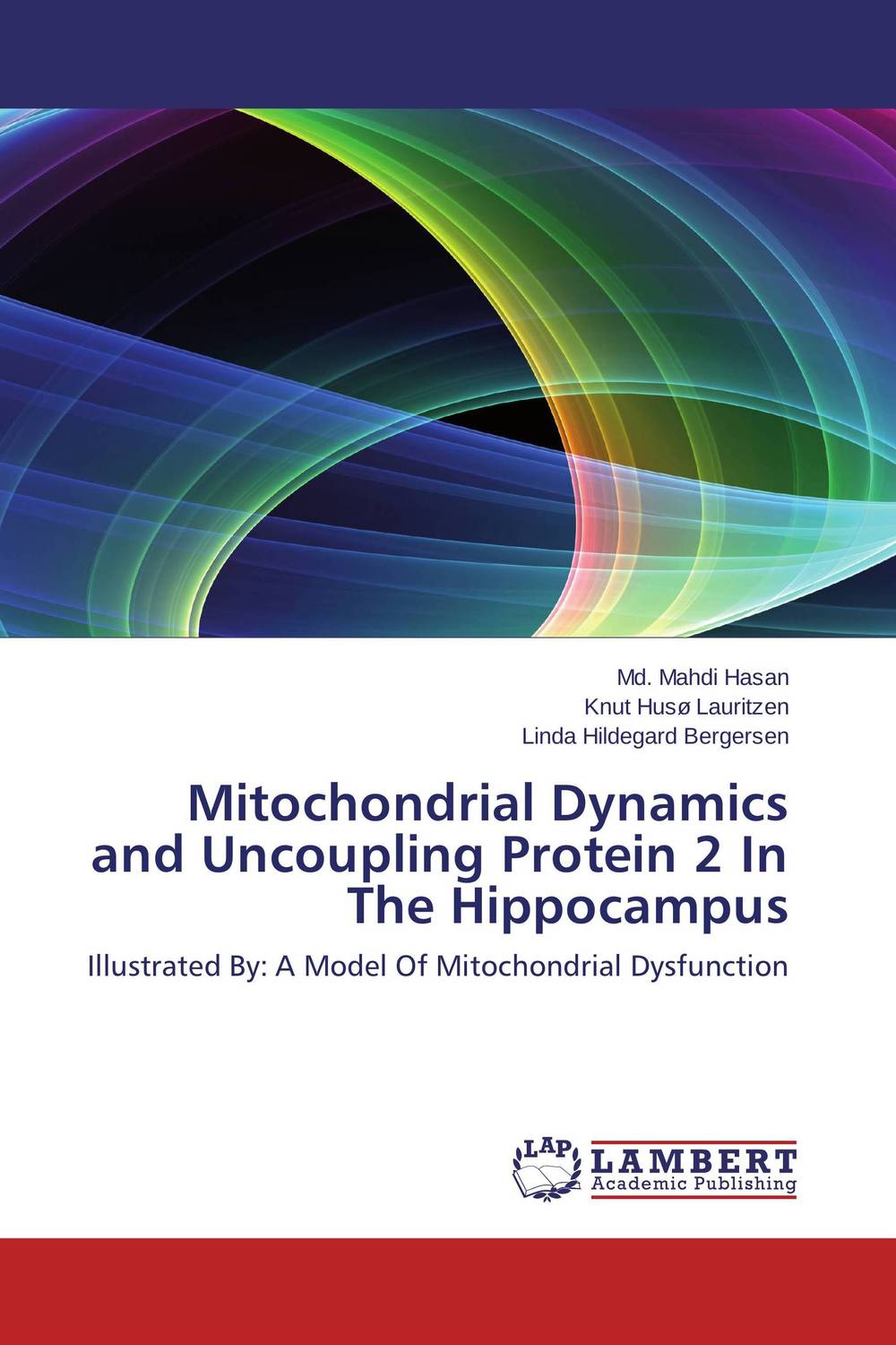 Mitochondrial Dynamics and Uncoupling Protein 2 In The Hippocampus