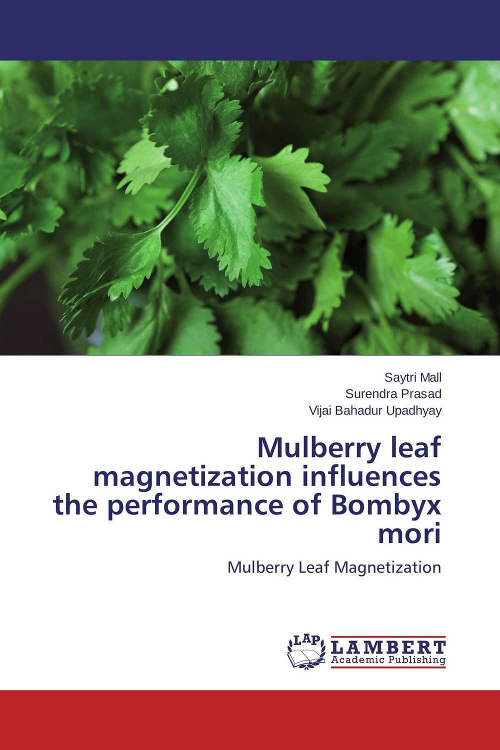 Mulberry leaf magnetization influences the performance of Bombyx mori