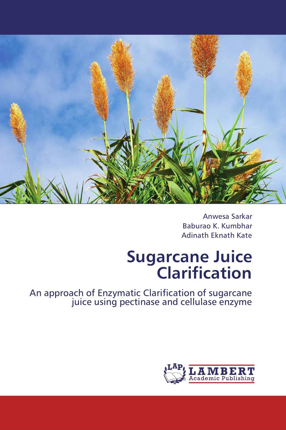 Sugarcane Juice Clarification