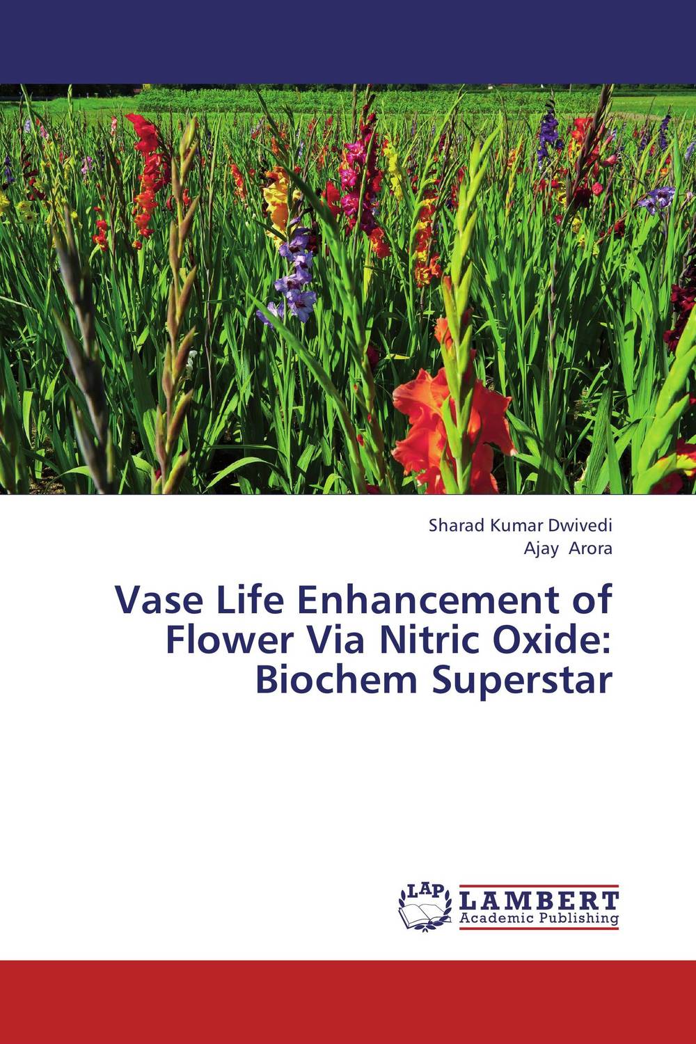 Vase Life Enhancement of Flower Via Nitric Oxide: Biochem Superstar