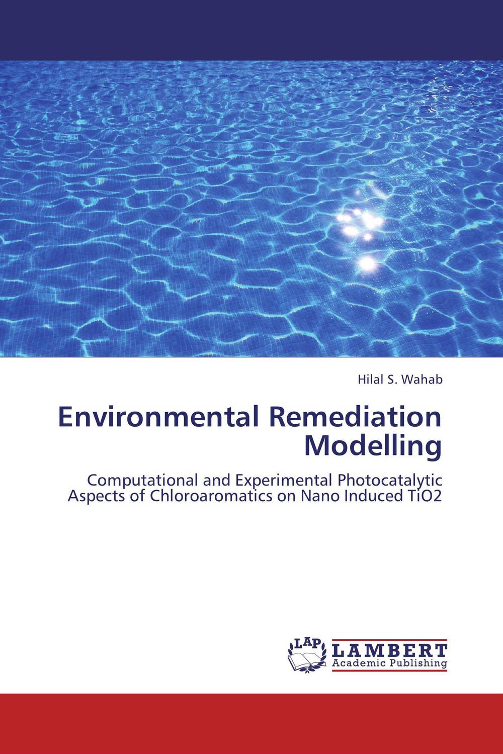 Environmental Remediation Modelling