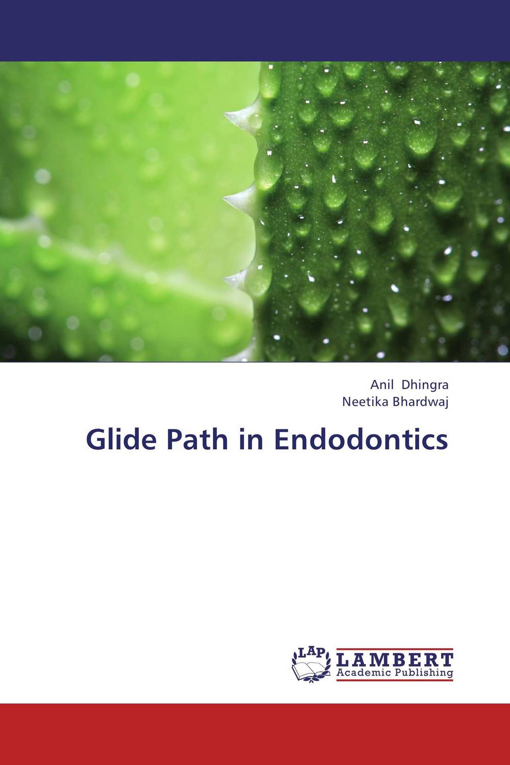 Glide Path in Endodontics