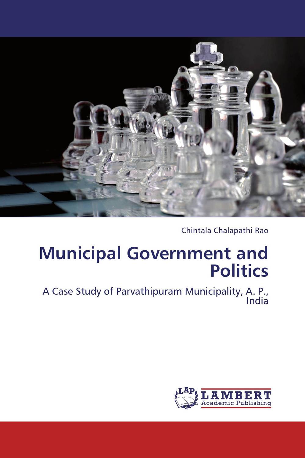 Municipal Government and Politics