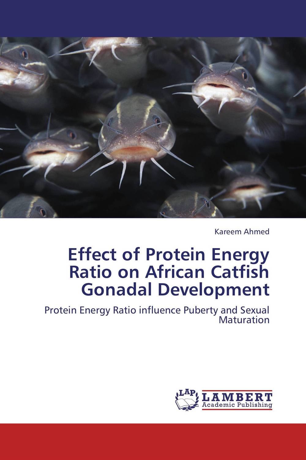 Effect of Protein Energy Ratio on African Catfish Gonadal Development