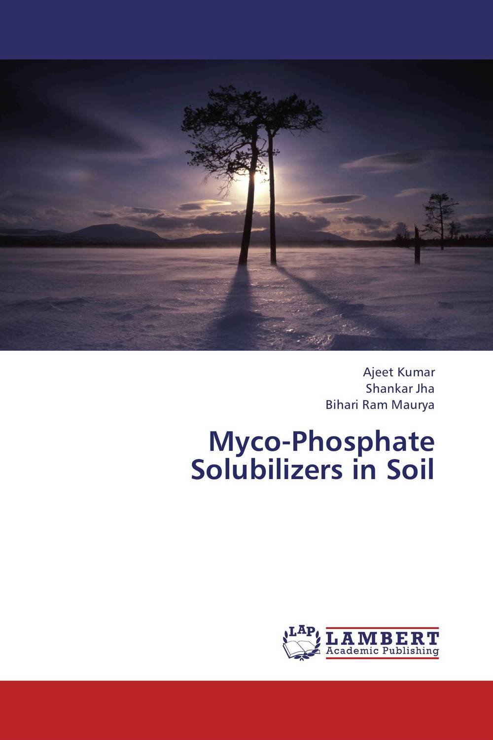 Myco-Phosphate Solubilizers in Soil