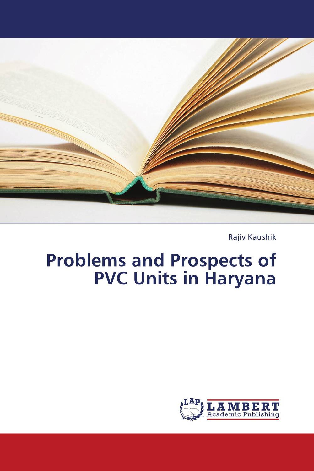 Problems and Prospects of PVC Units in Haryana