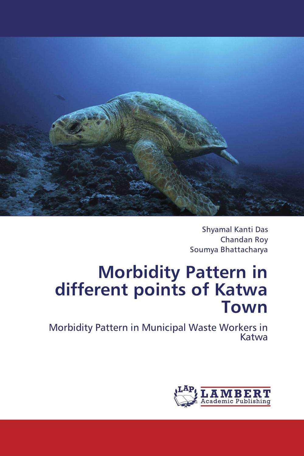 Morbidity Pattern in different points of Katwa Town