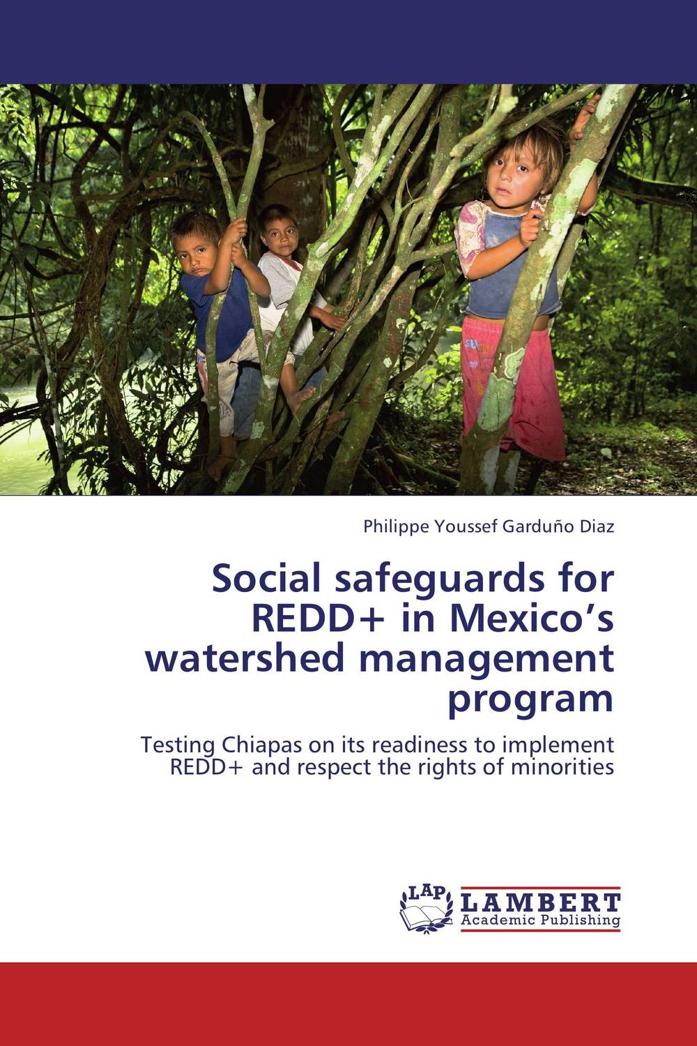 Social safeguards for REDD+ in Mexico’s watershed management program