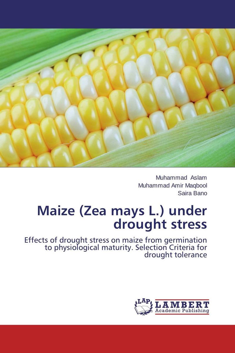 Maize (Zea mays L.) under drought stress