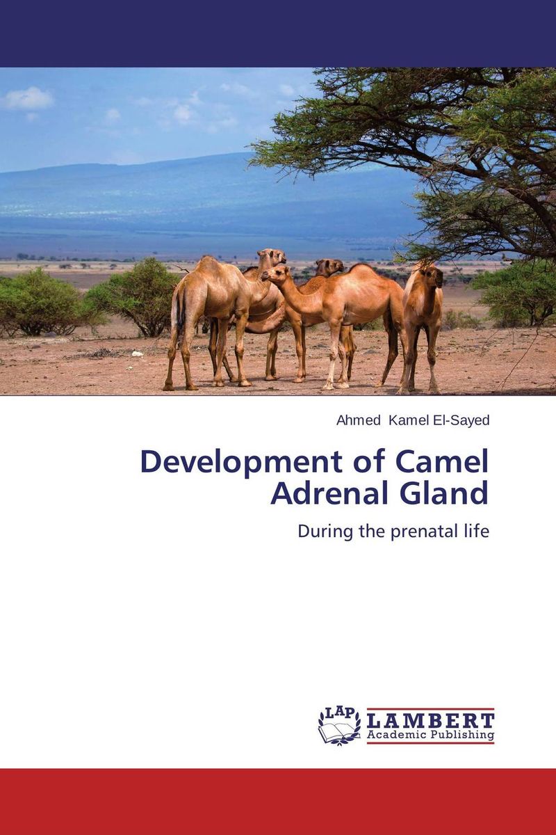 Development of Camel Adrenal Gland