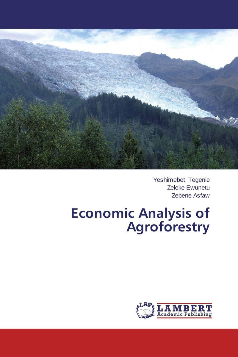 an analysis of the diversity in management an analysis of the diversity in management