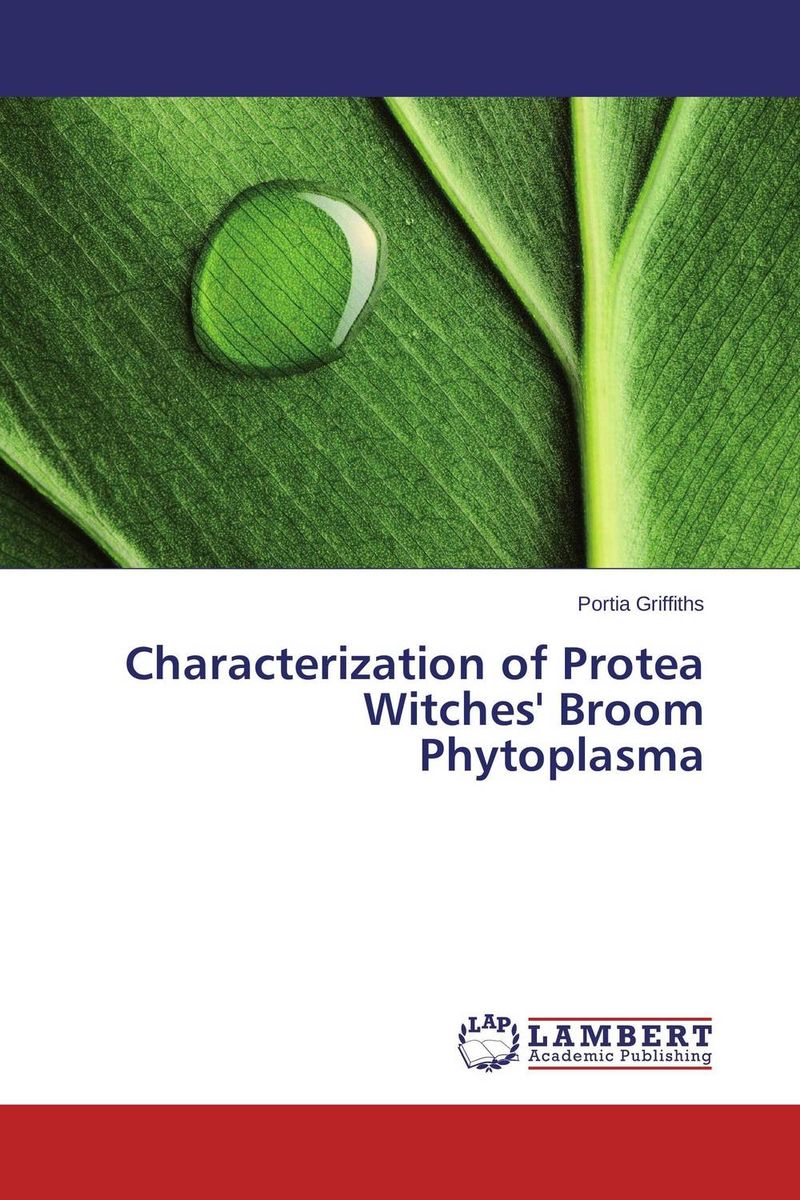 Characterization of Protea Witches` Broom Phytoplasma