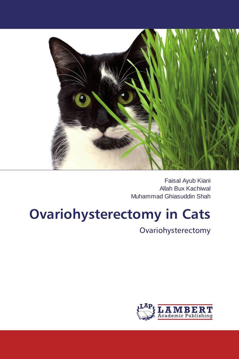 Ovariohysterectomy in Cats