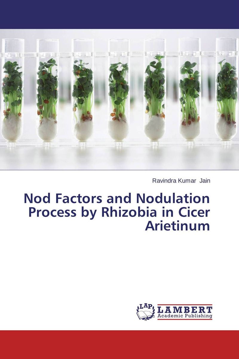 Nod Factors and Nodulation Process by Rhizobia in Cicer Arietinum