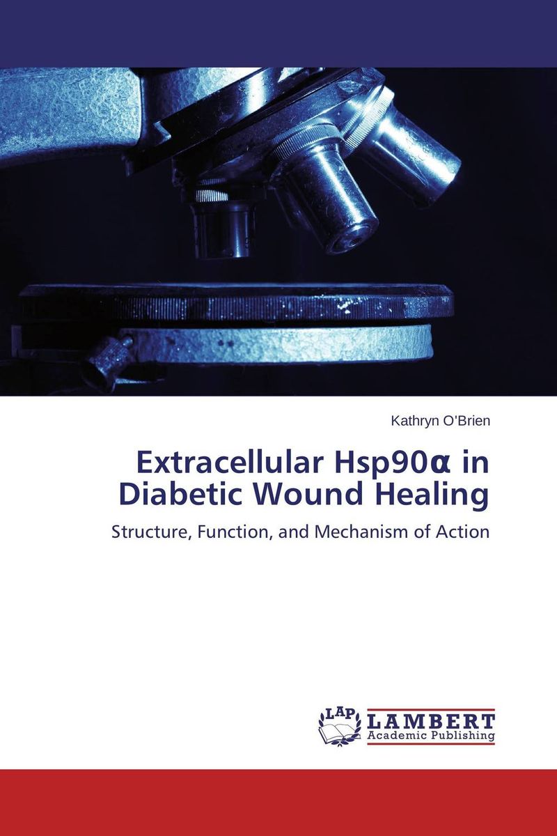 Extracellular Hsp90? in Diabetic Wound Healing