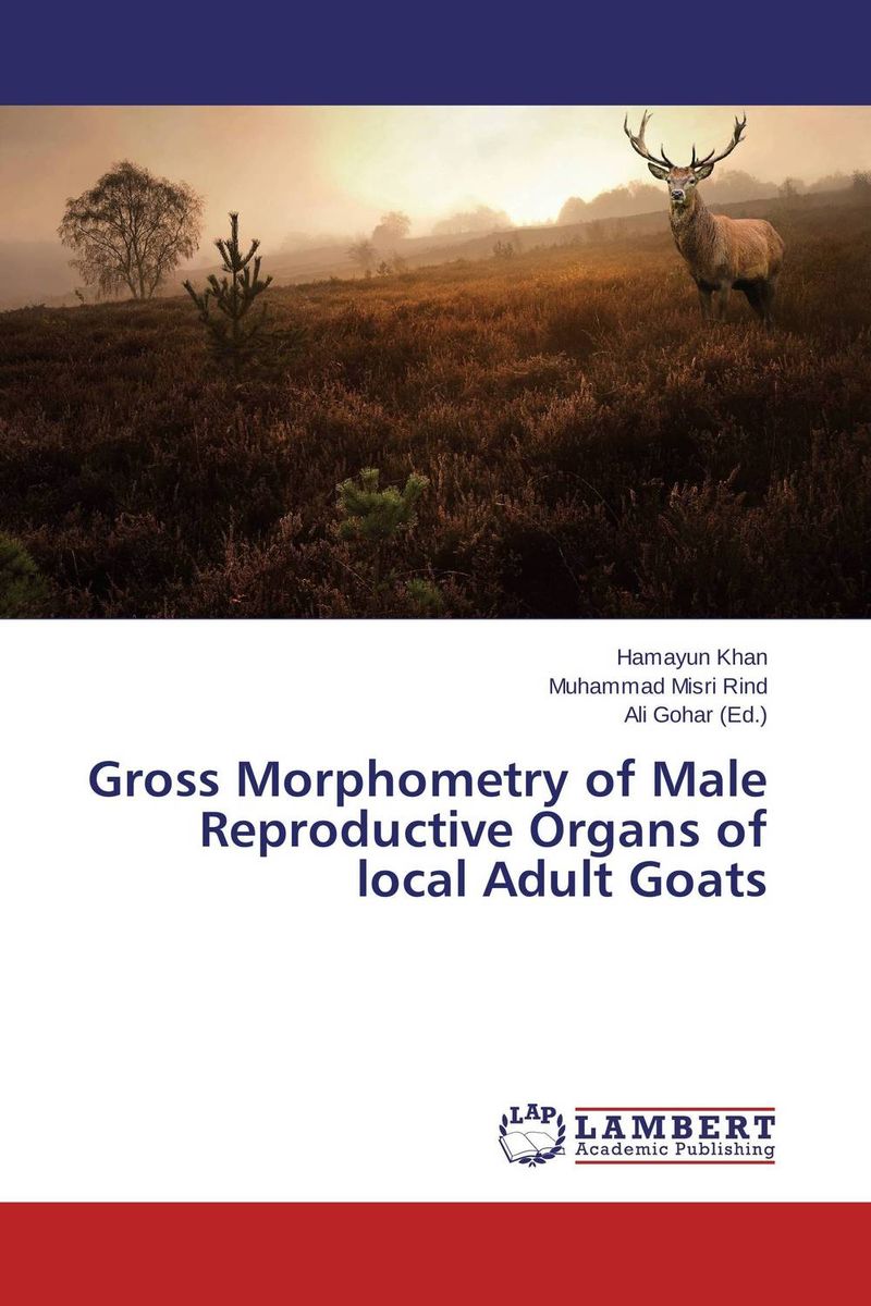 Gross Morphometry of Male Reproductive Organs of local Adult Goats