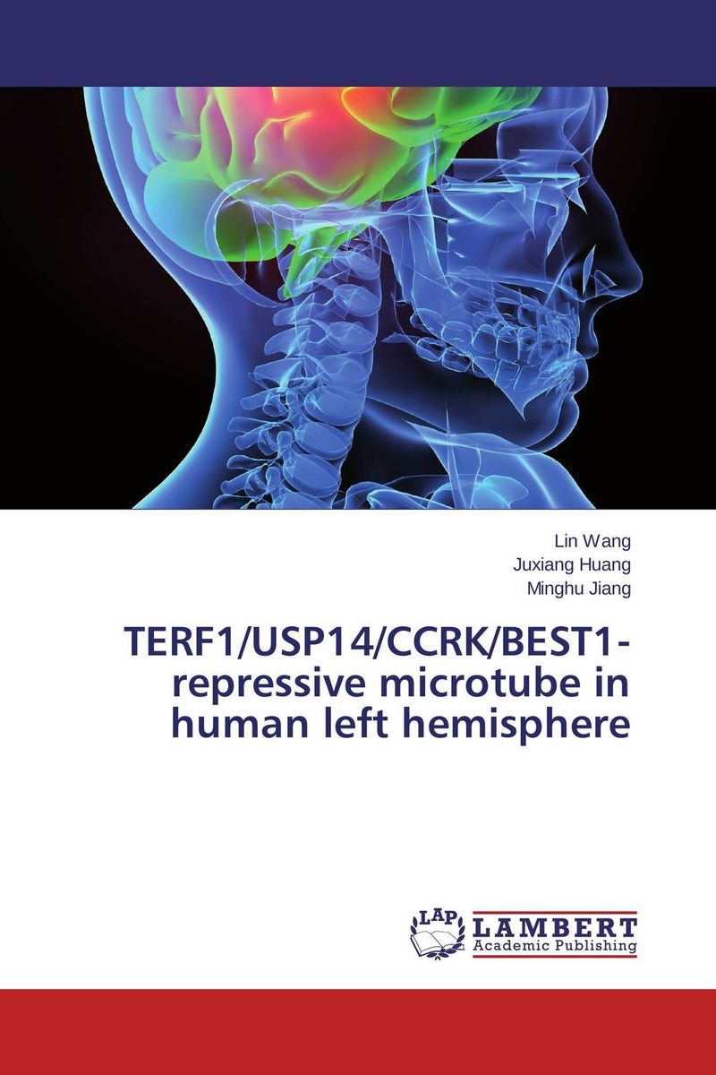 TERF1/USP14/CCRK/BEST1-repressive microtube in human left hemisphere