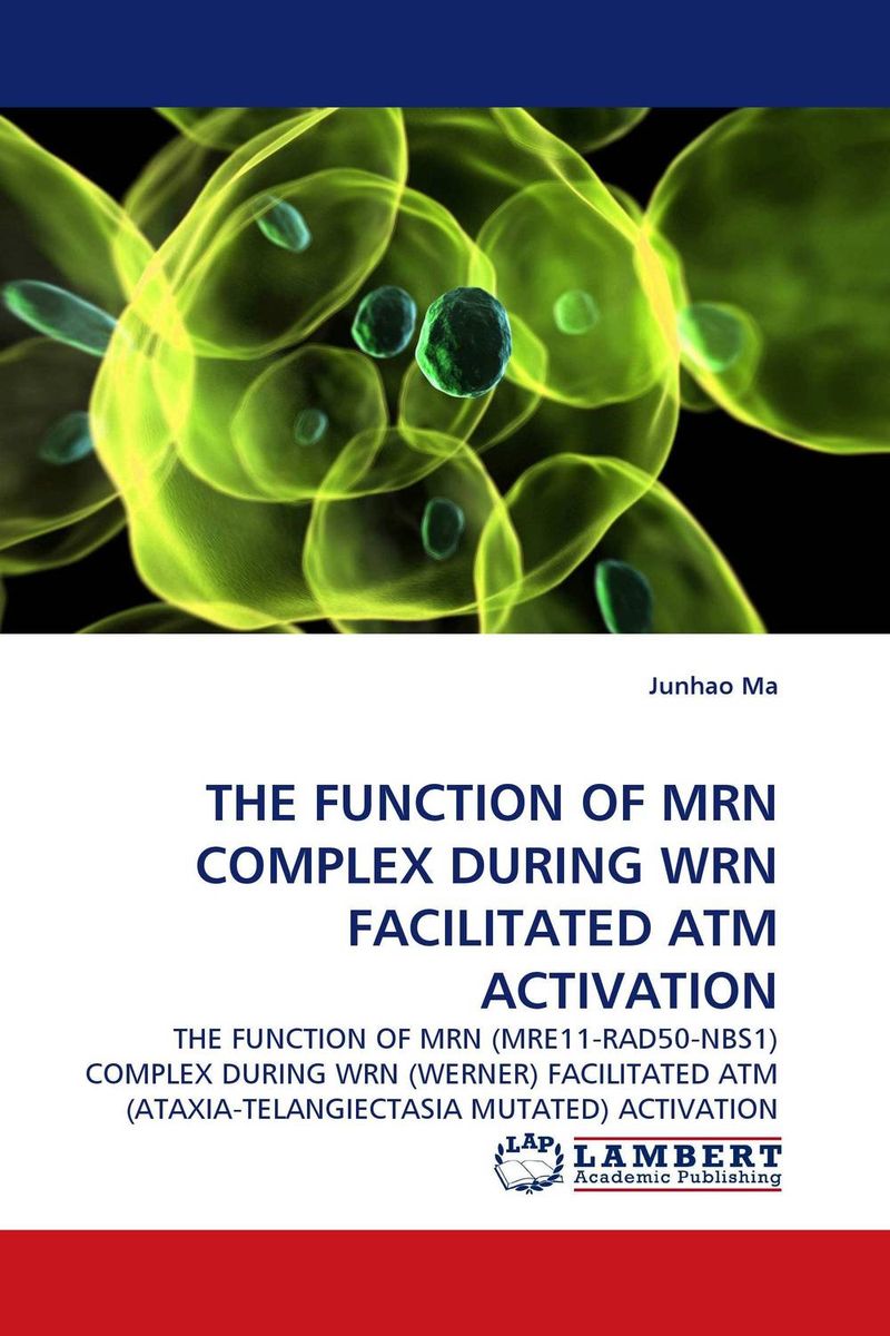 THE FUNCTION OF MRN COMPLEX DURING WRN FACILITATED ATM ACTIVATION