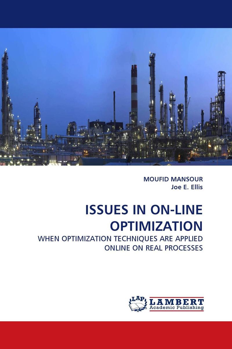 ISSUES IN ON-LINE OPTIMIZATION