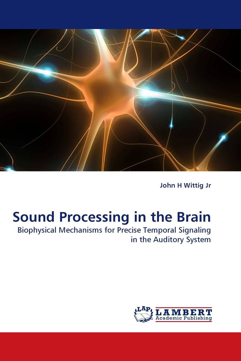 Sound Processing in the Brain