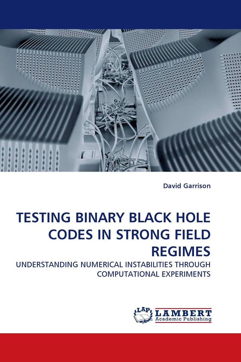 TESTING BINARY BLACK HOLE CODES IN STRONG FIELD REGIMES