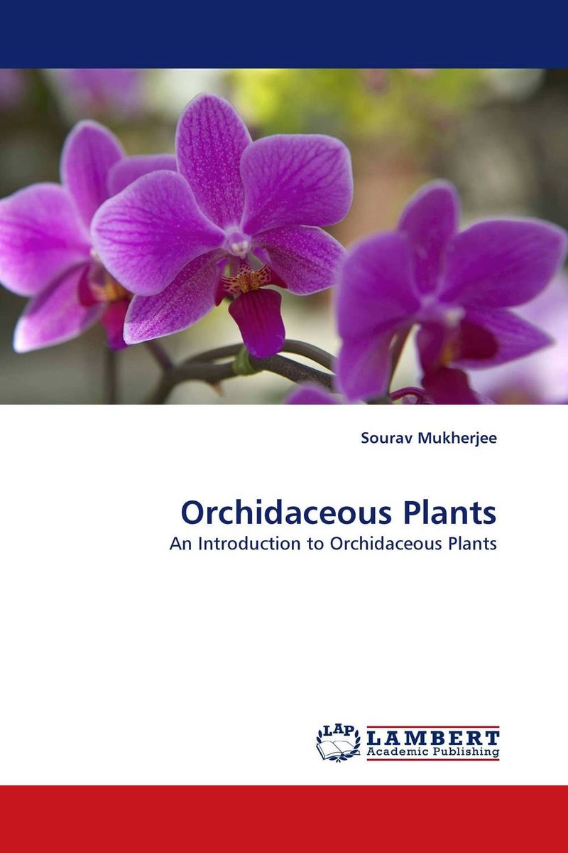 Orchidaceous Plants