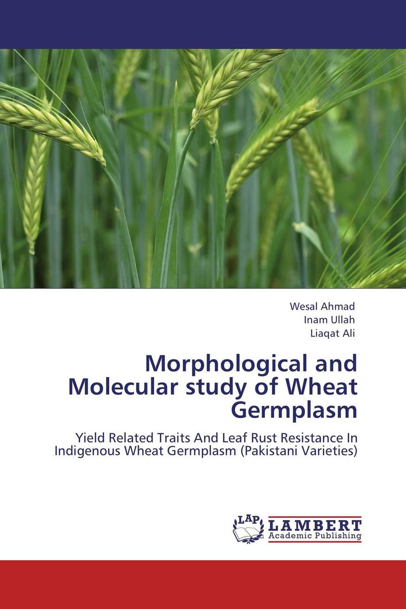 Morphological and Molecular study of Wheat Germplasm