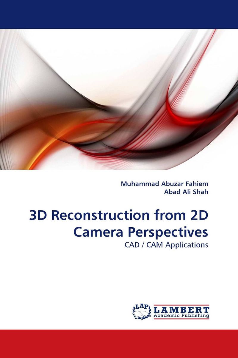 3D Reconstruction from 2D Camera Perspectives