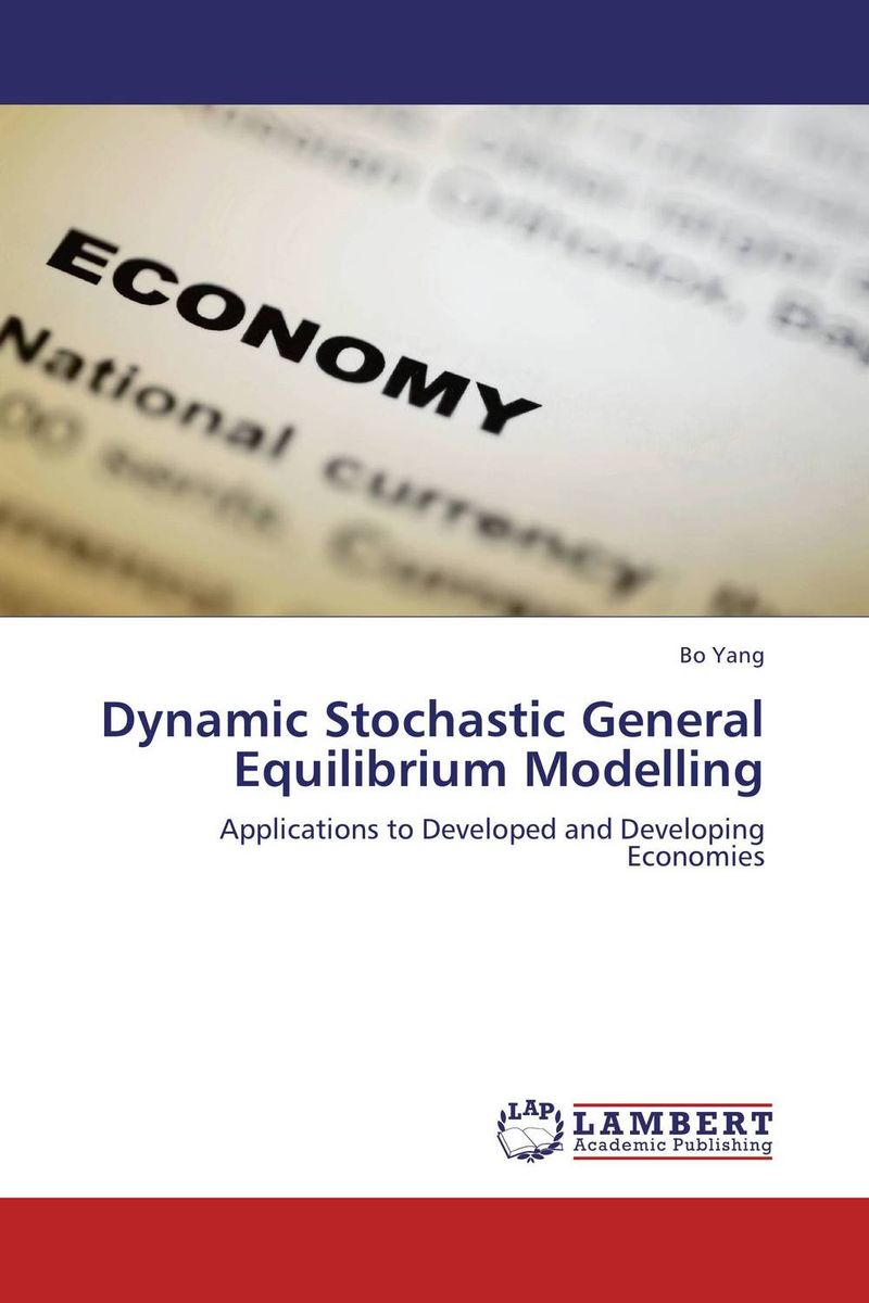 Dynamic Stochastic General Equilibrium Modelling