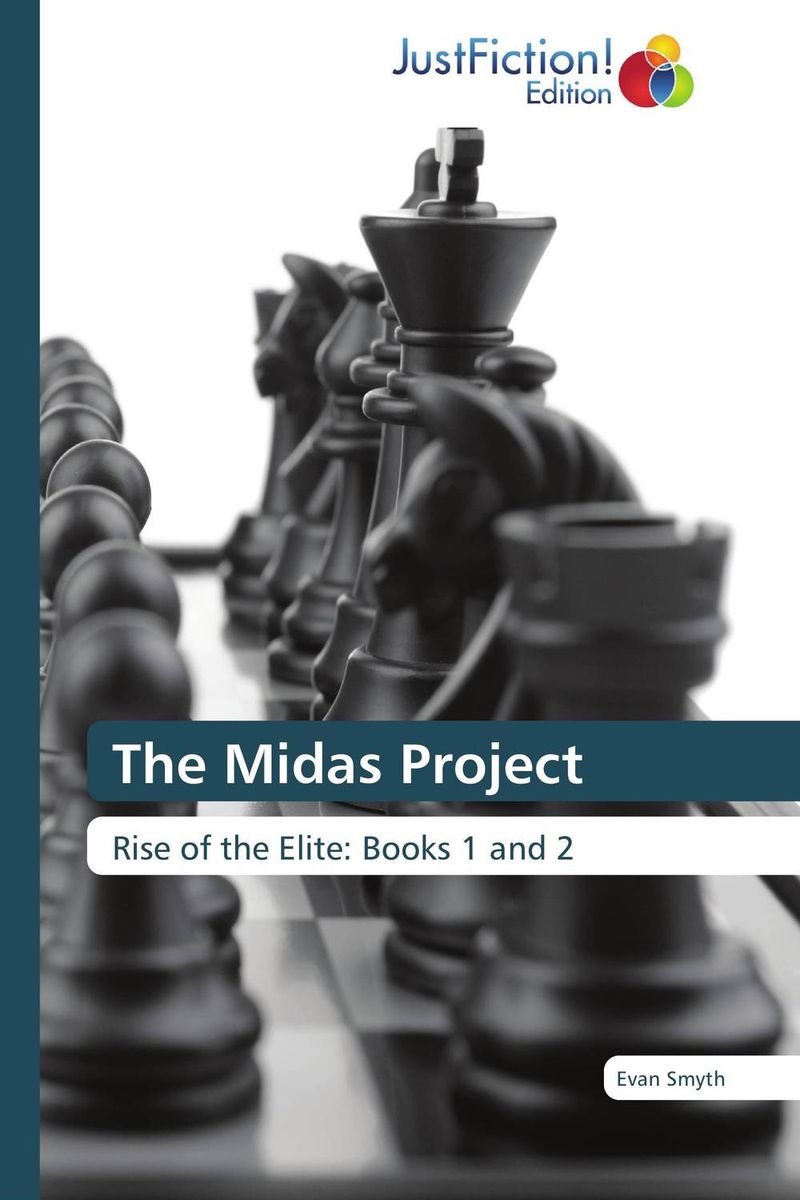 The Midas Project