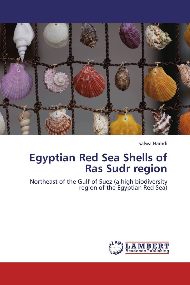 Egyptian Red Sea Shells of Ras Sudr region