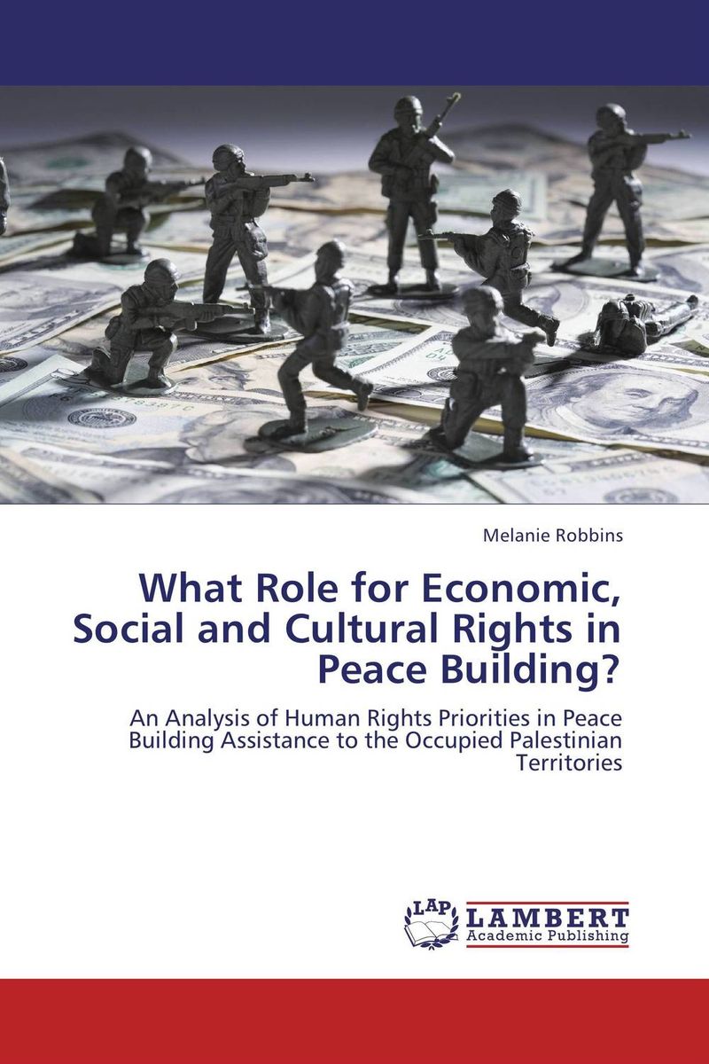 What Role for Economic, Social and Cultural Rights in Peace Building?
