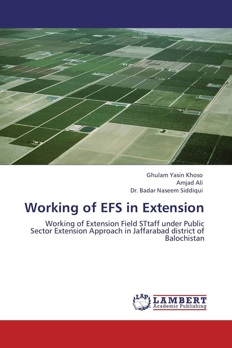 Working of EFS in Extension