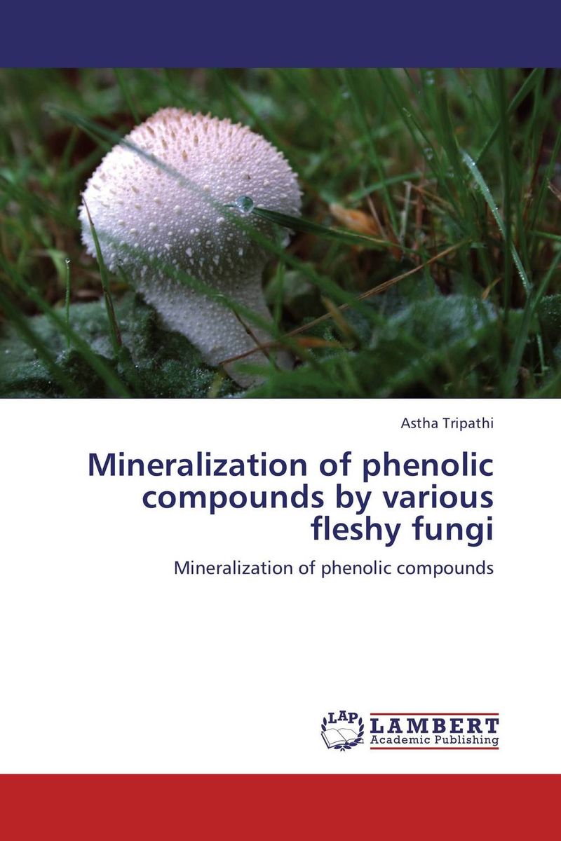 Mineralization of phenolic compounds by various fleshy fungi