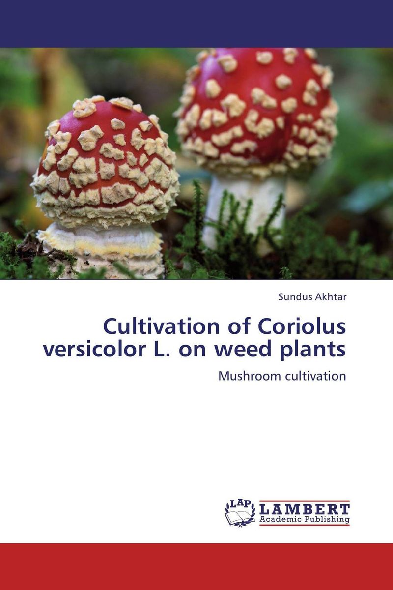 Cultivation of Coriolus versicolor L. on weed plants