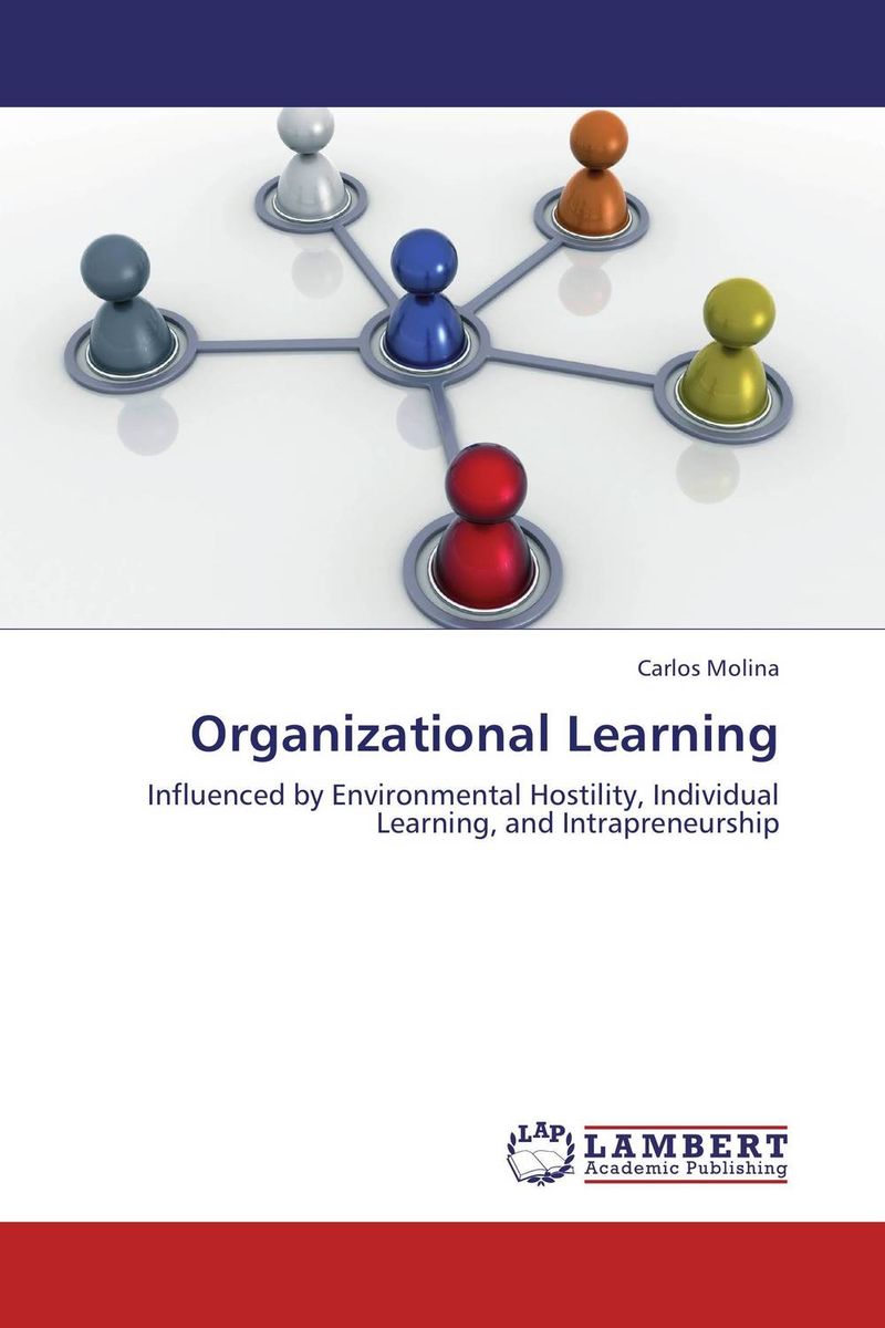 Organizational Learning