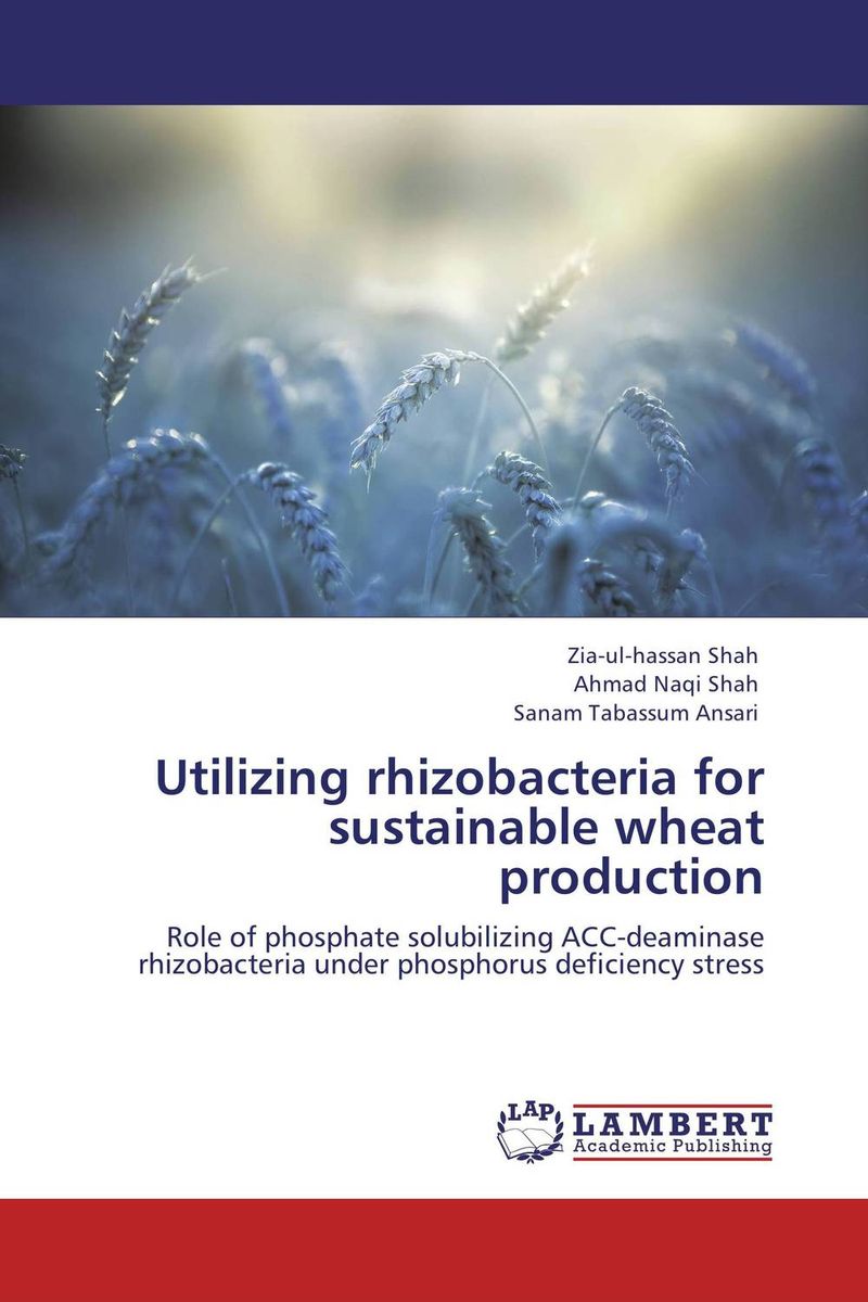 Utilizing rhizobacteria for sustainable wheat production
