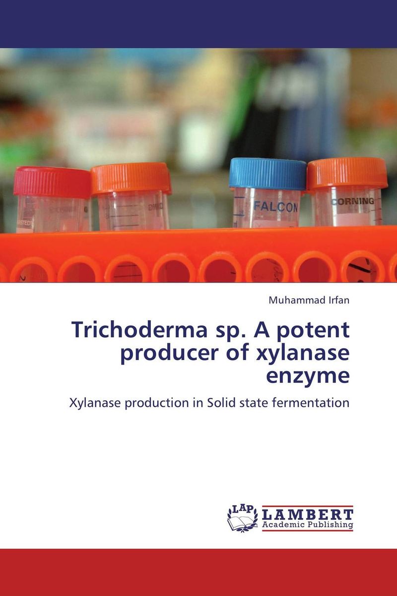 Trichoderma sp. A potent producer of xylanase enzyme