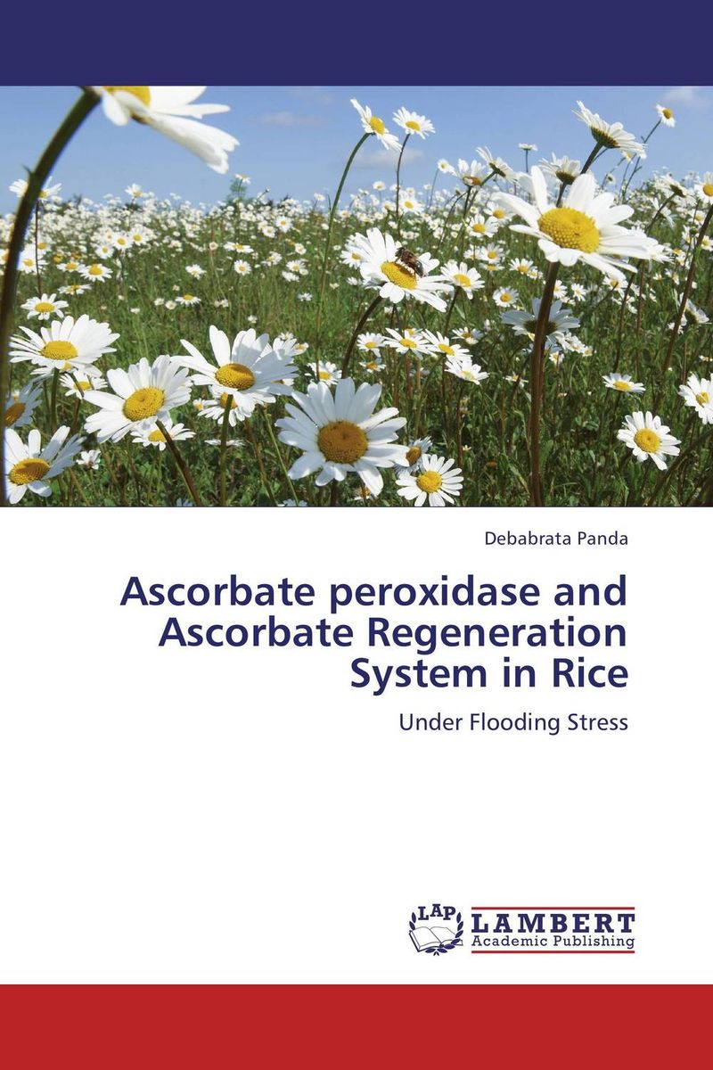 Ascorbate peroxidase and Ascorbate Regeneration System in Rice