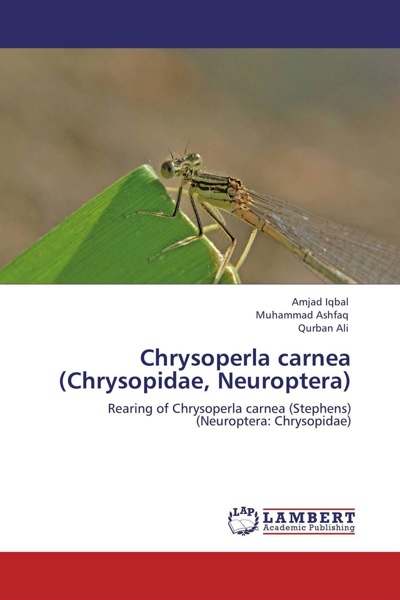 Chrysoperla carnea (Chrysopidae, Neuroptera)