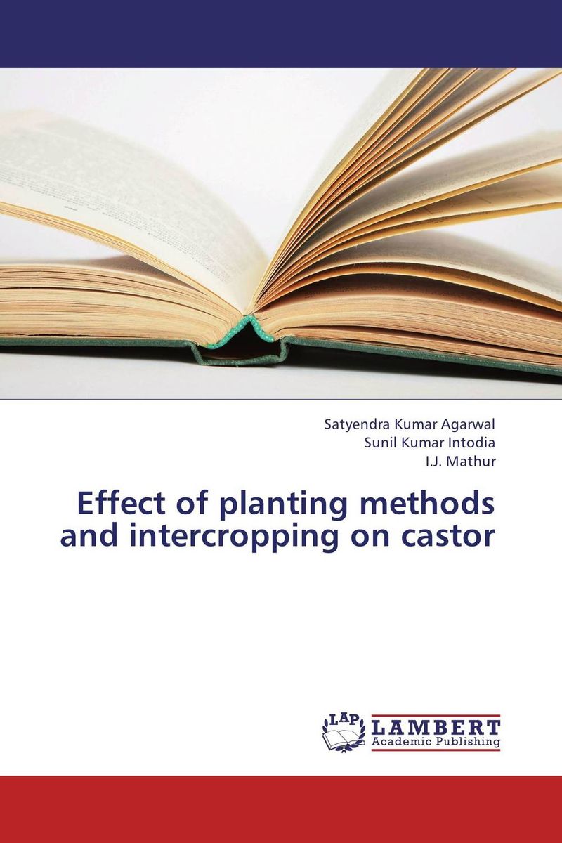 Effect of planting methods and intercropping on castor