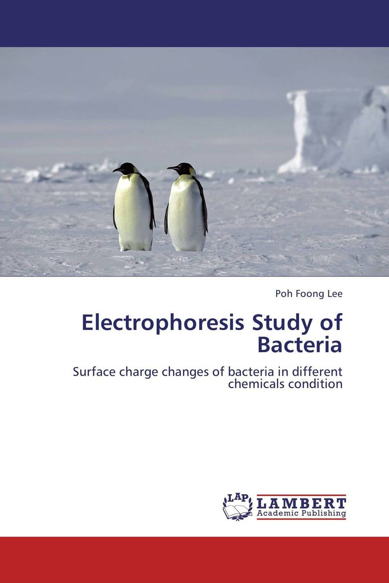 Electrophoresis Study of Bacteria