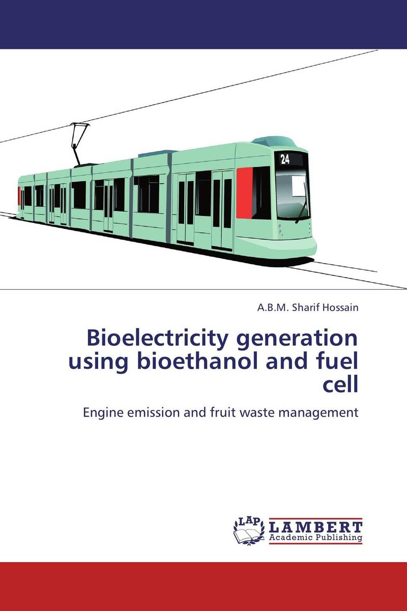 Bioelectricity generation using bioethanol and fuel cell