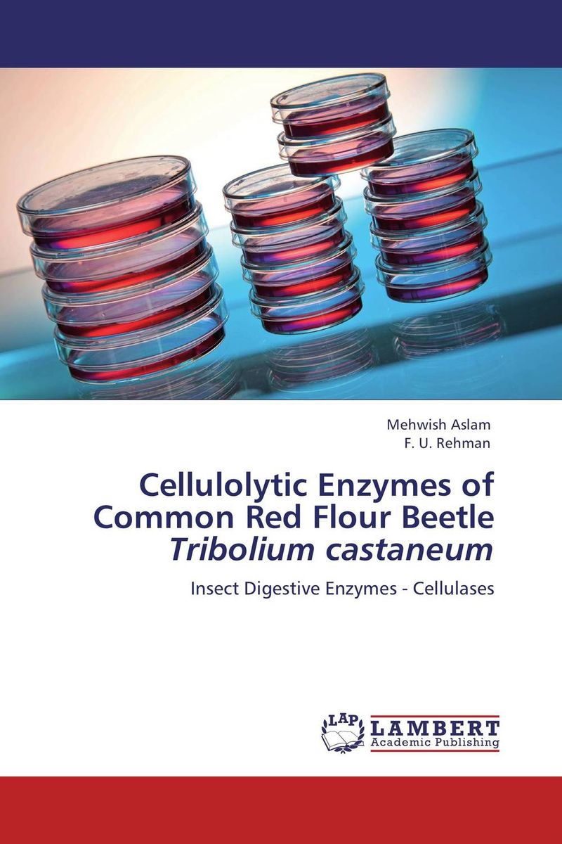 Cellulolytic Enzymes of Common Red Flour Beetle >i<Tribolium castaneum