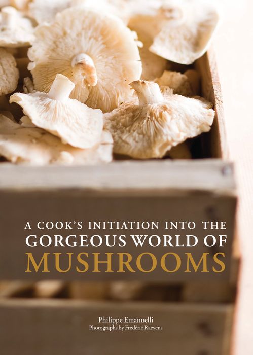 A Cook`s Initiation into the Gorgeous World of Mushrooms